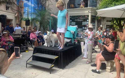 29th Annual Worth Avenue Association Pet Parade and Costume Contest