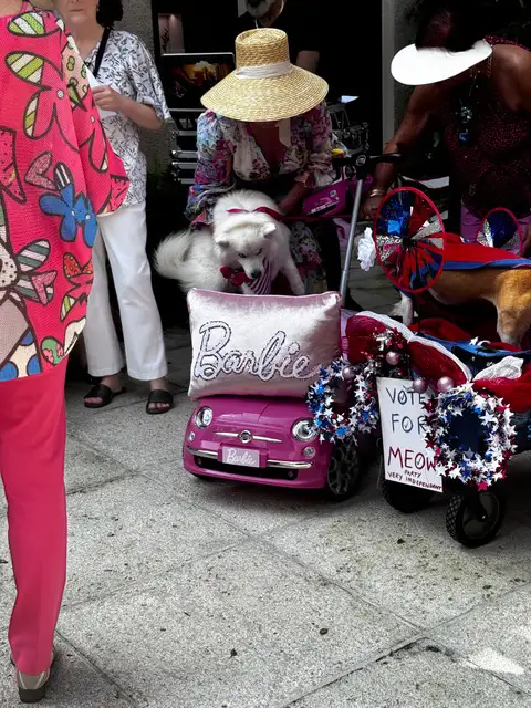 31st annual Worth Avenue Pet Parade and Costume Contest 2