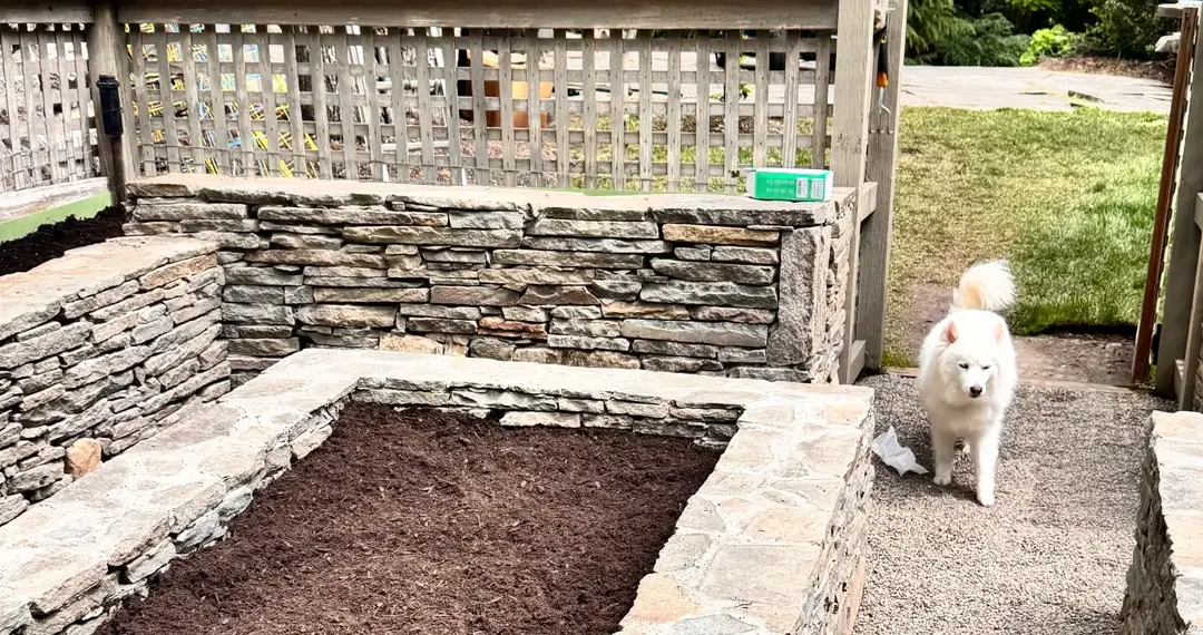 My 2026 Garden Adventure Begins!