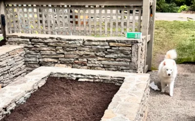 My 2026 Garden Adventure Begins!
