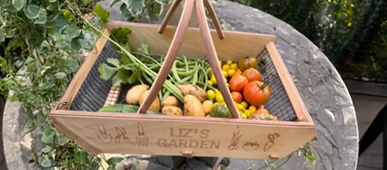 Basket of vegetables