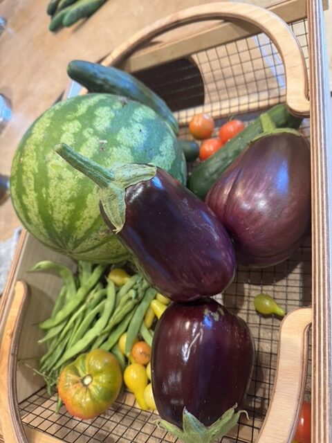 green beans cucumbers watermelons and eggplant