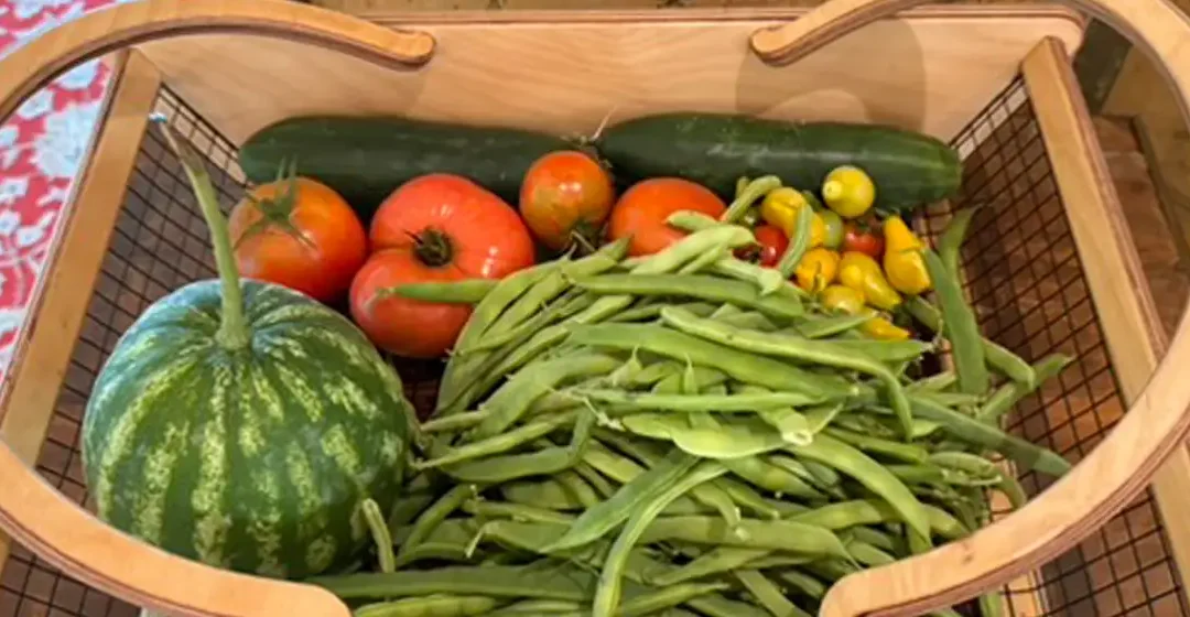 The Harvest Continues!