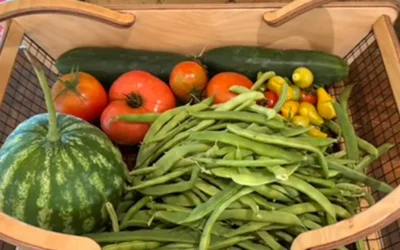 The Harvest Continues!