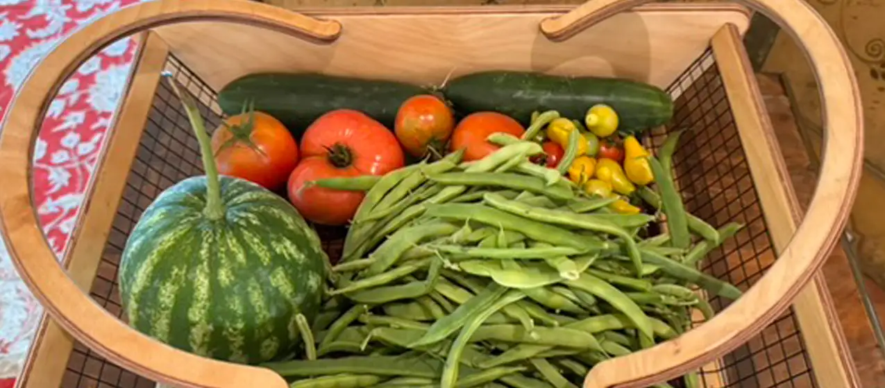 The harvest continues!